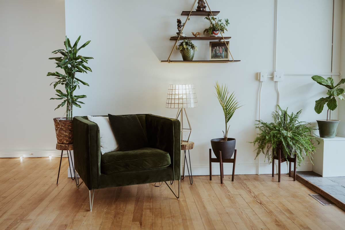 A green armchair surrounded by plants in a Beyond Healing counseling office